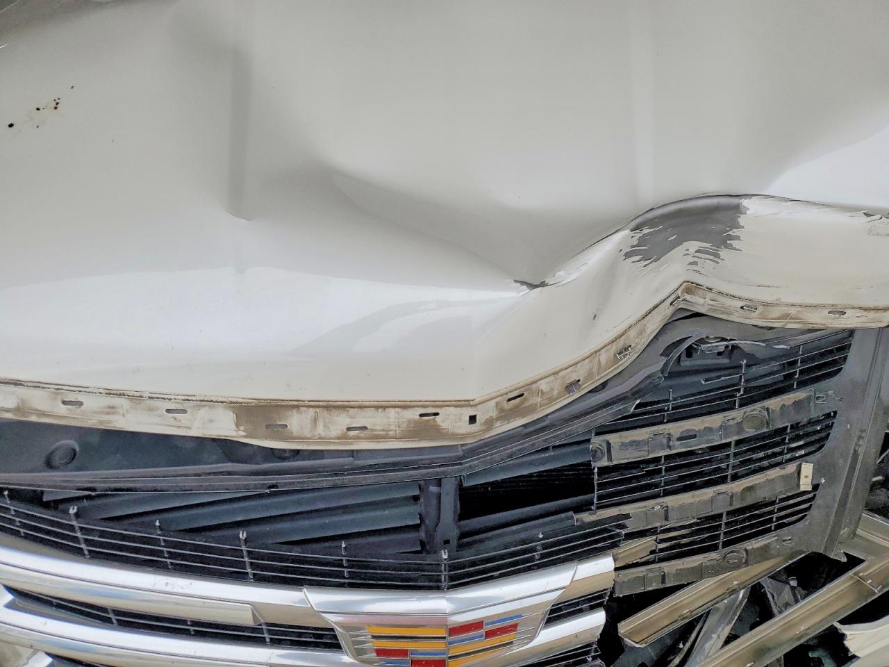Cadillac Escalade Esv Premium Luxury