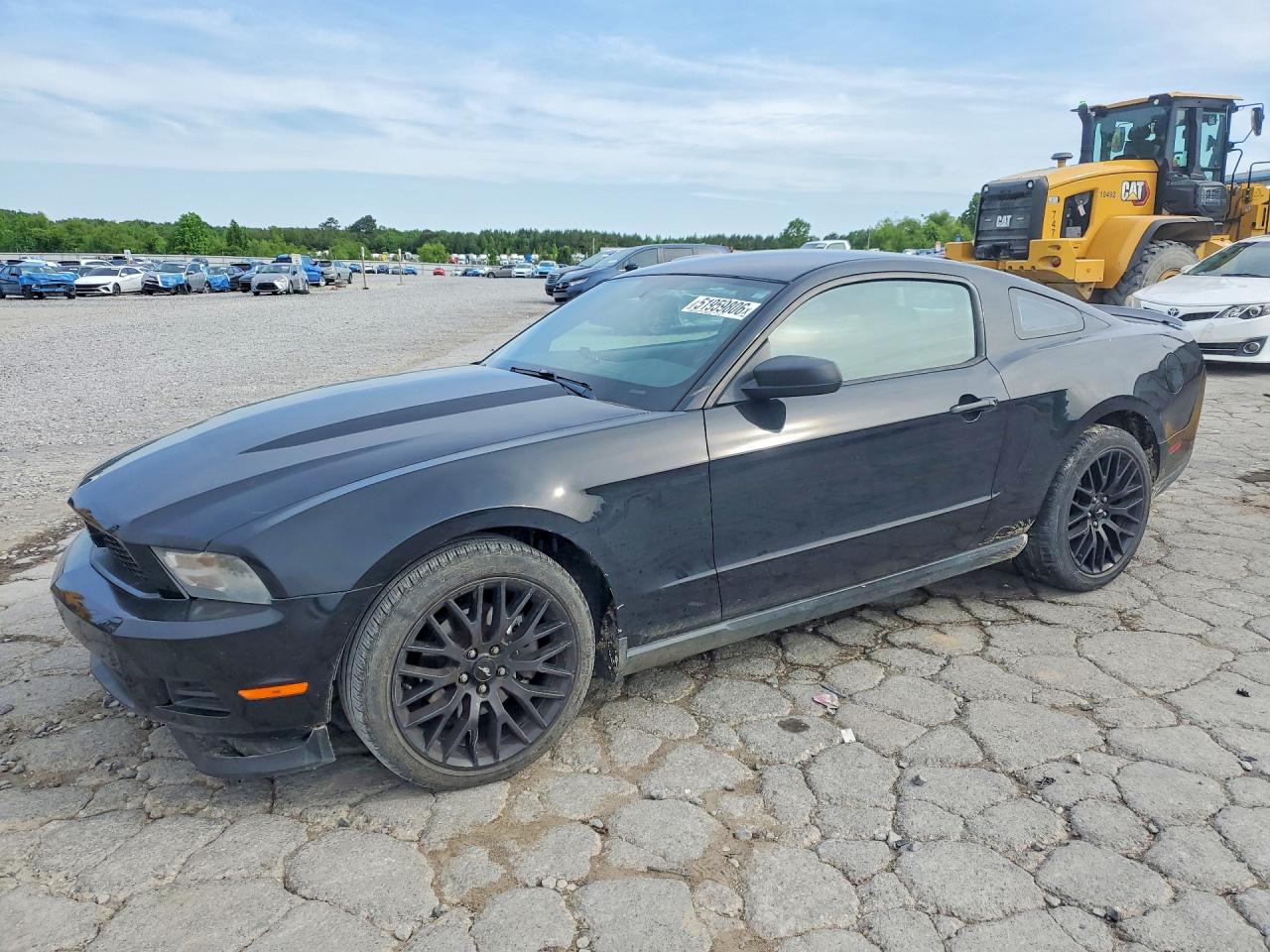 Salvage Ford Mustang Image