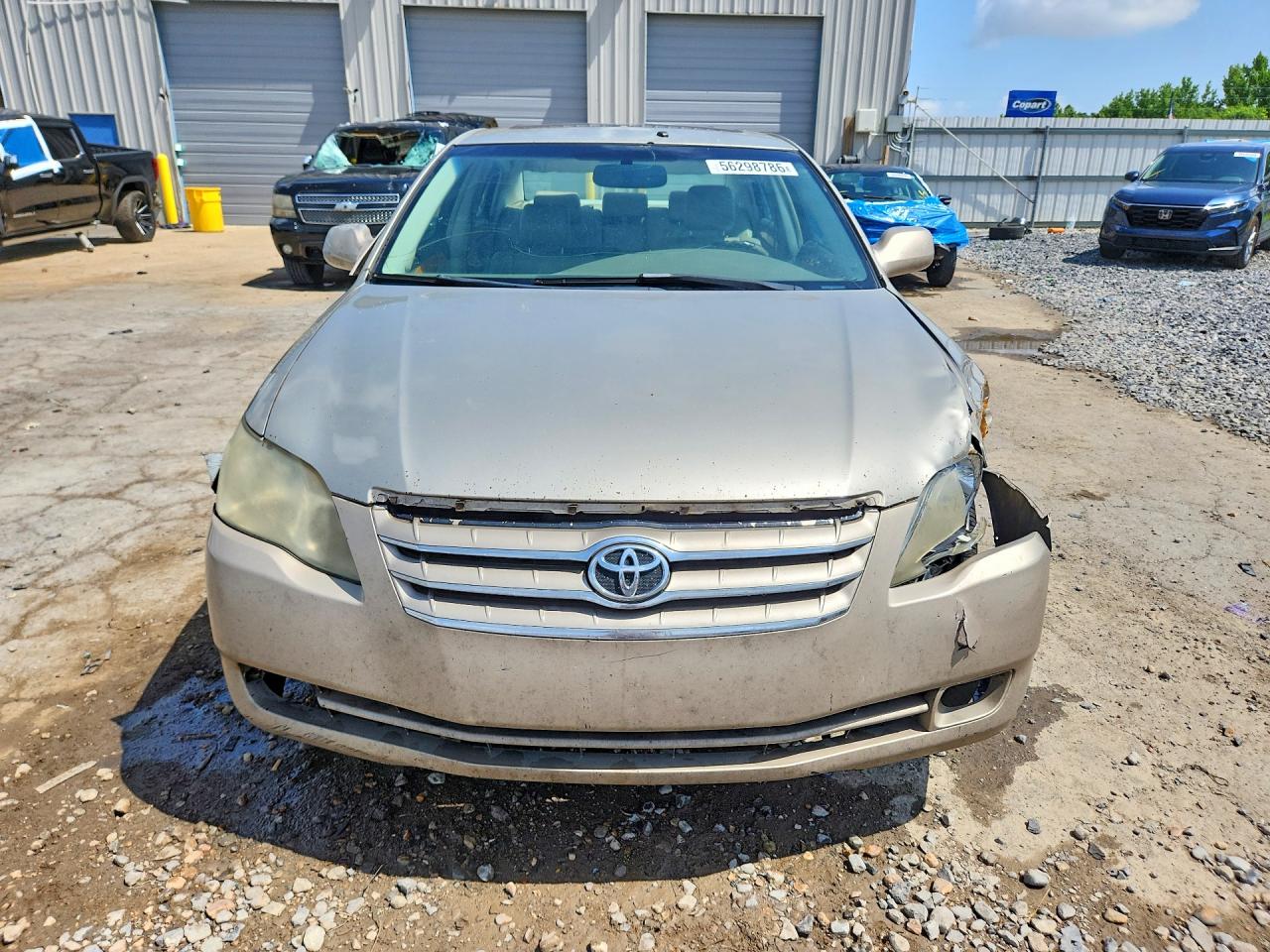 Toyota Avalon Xls