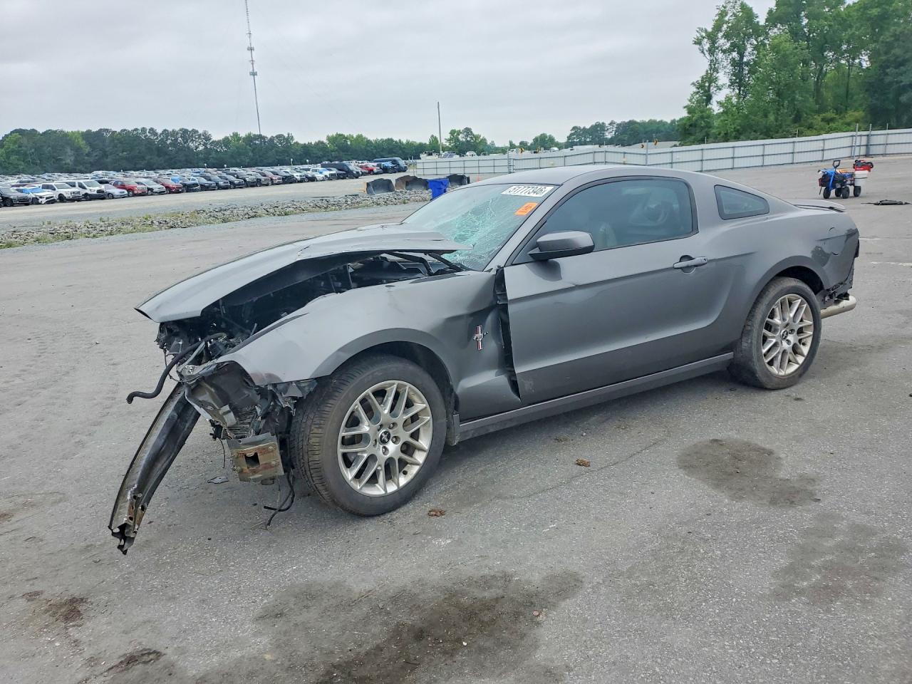Salvage Ford Mustang Image