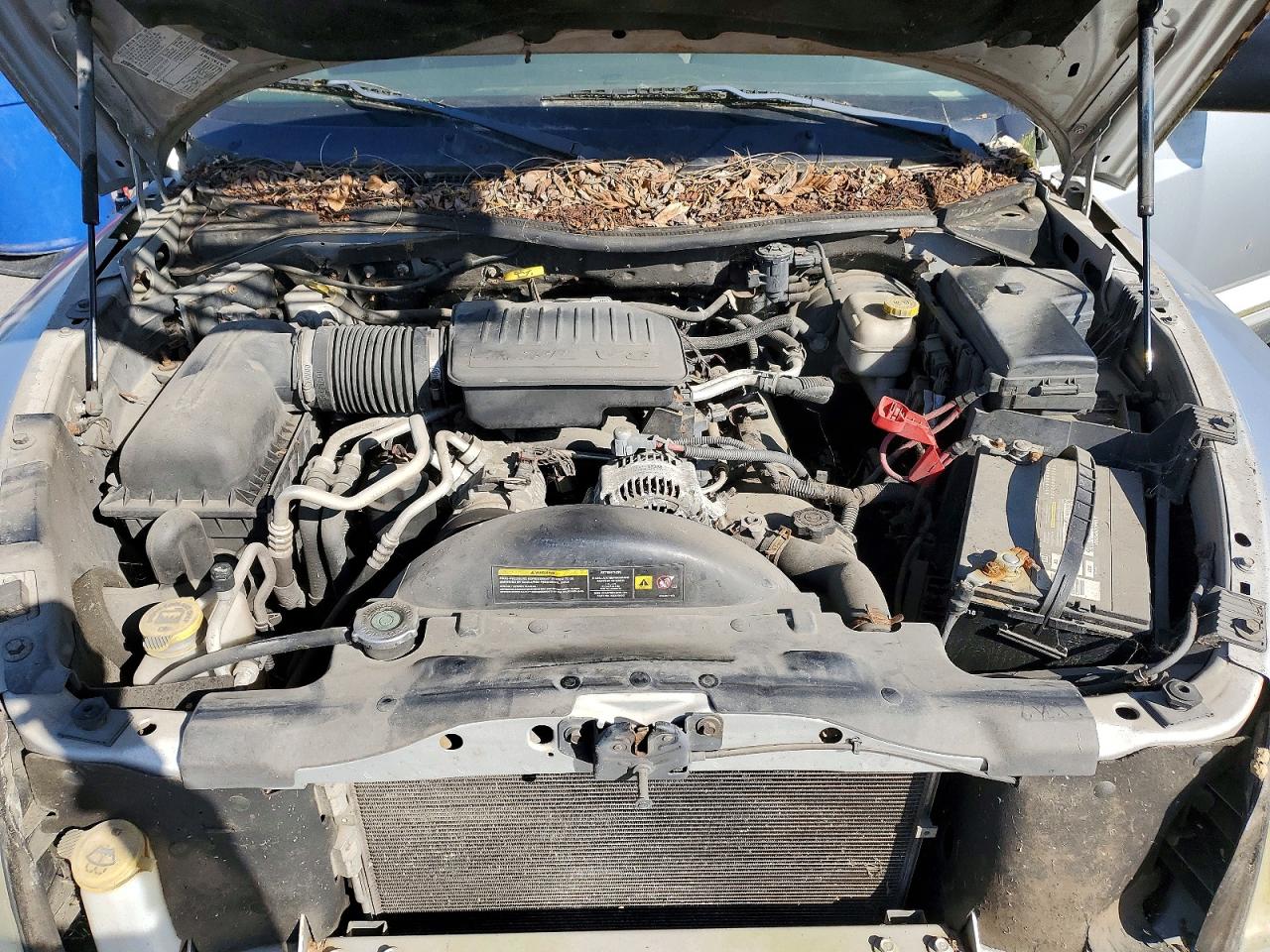 Dodge Dakota Quad Slt