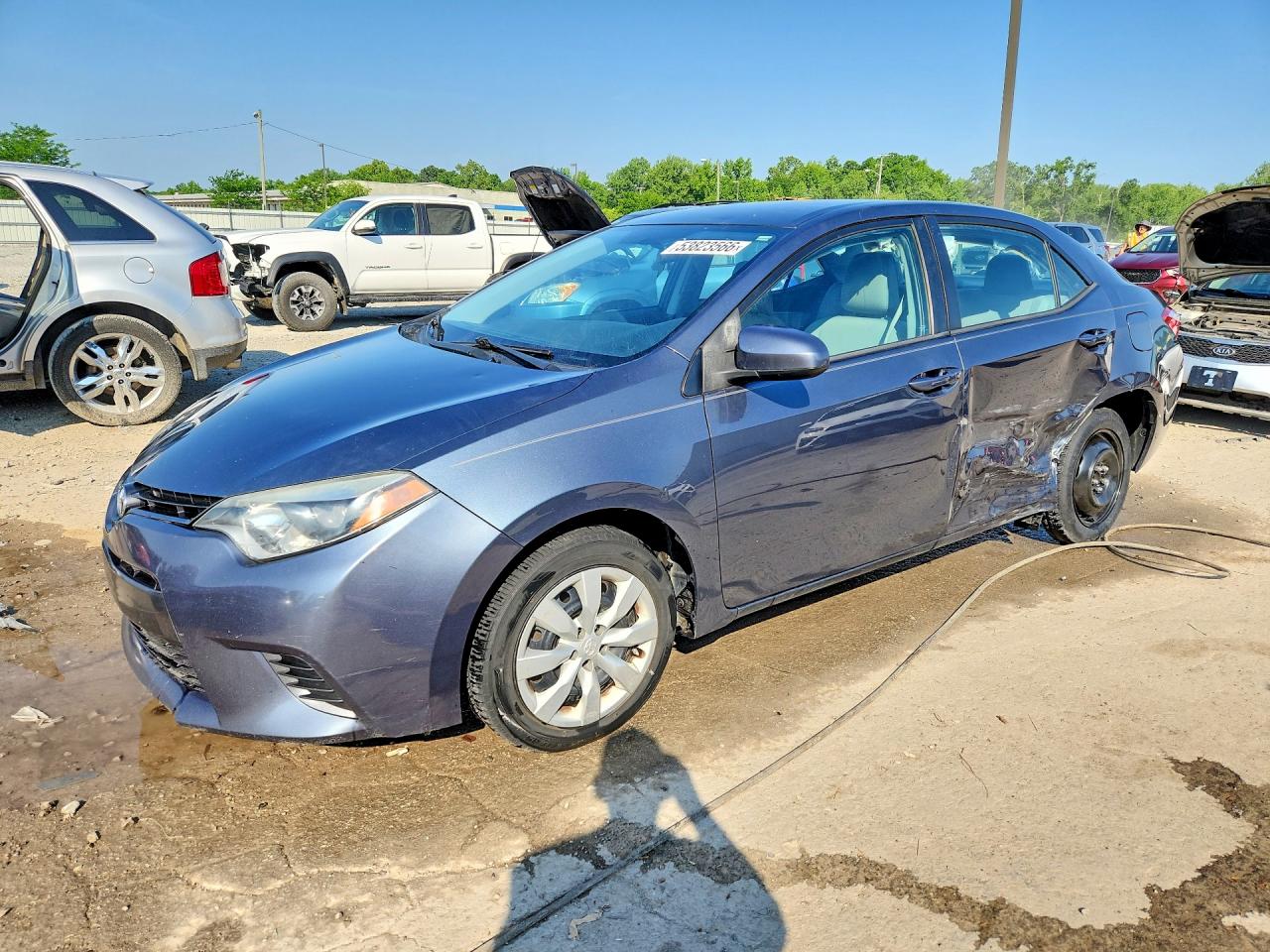 Salvage Toyota Corolla Image