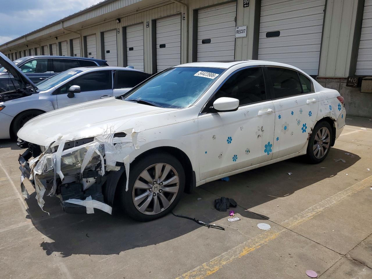 Salvage Honda Accord Image