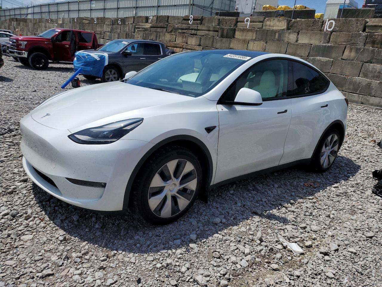 Salvage Tesla Model Y Image