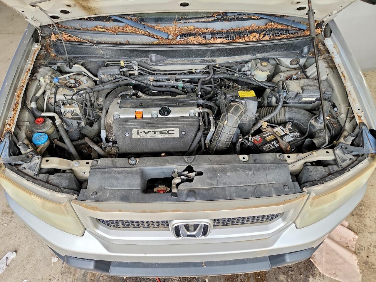 Honda Element Ex