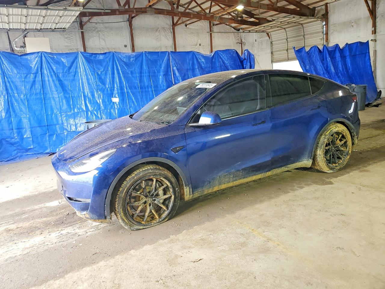 Salvage Tesla Model Y Image