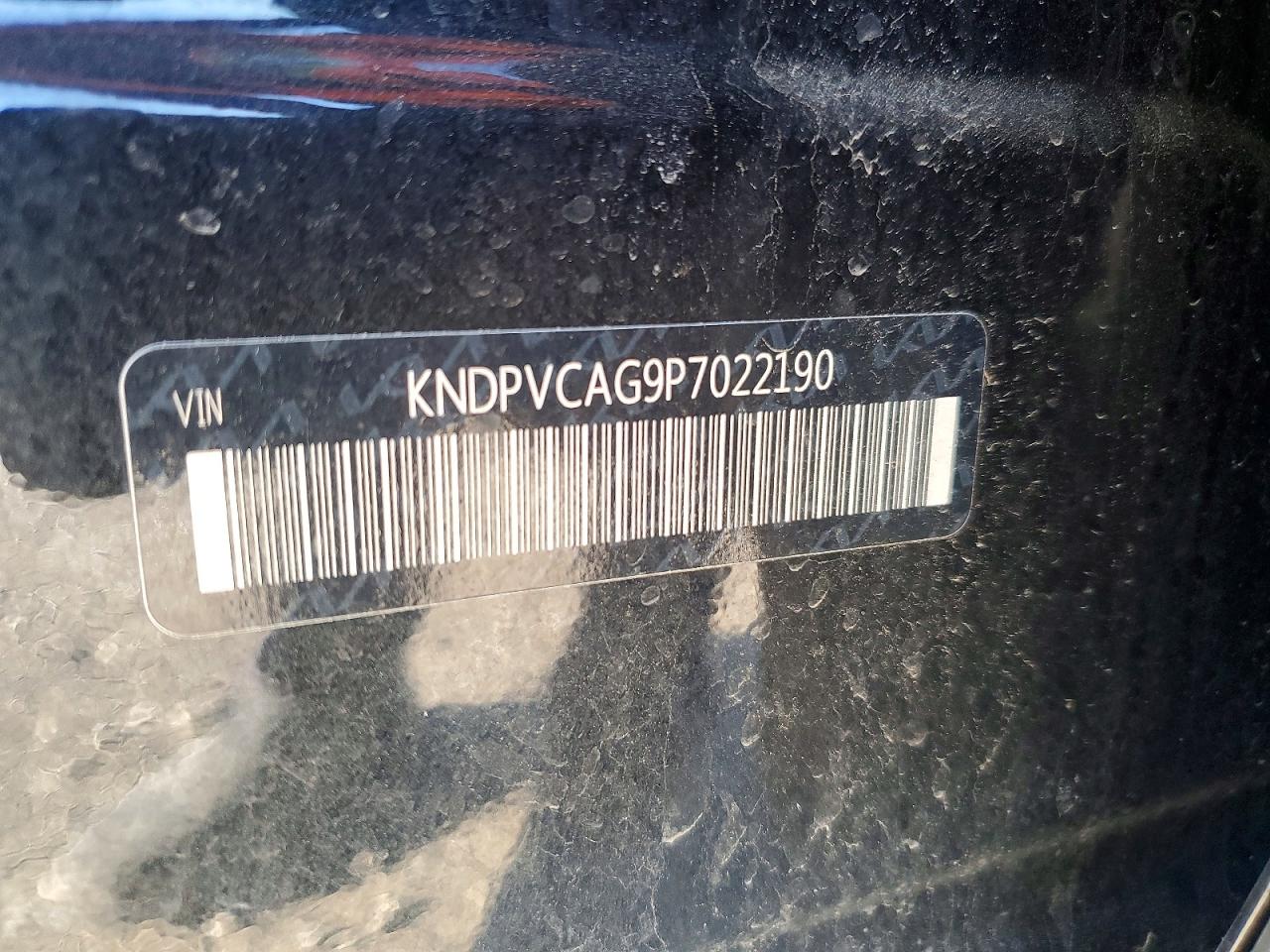 Kia Sportage Ex
