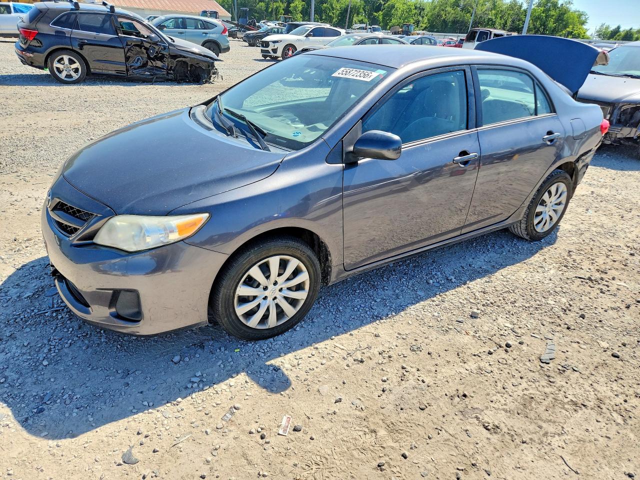 Salvage Toyota Corolla Image