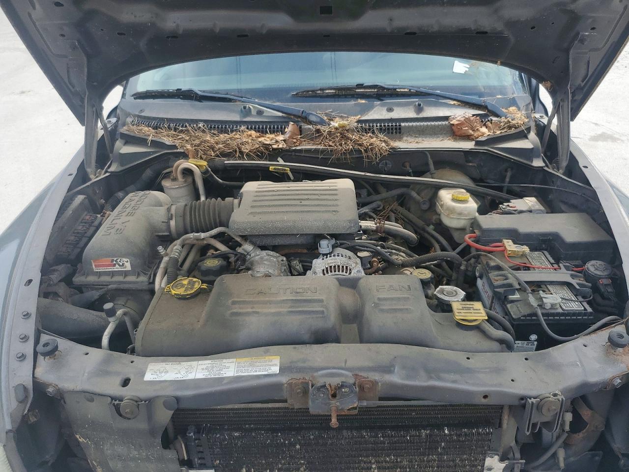 Dodge Dakota Quad Slt