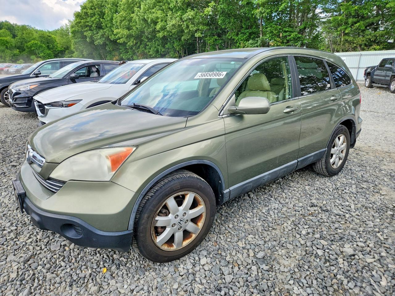 Salvage Honda Crv Image
