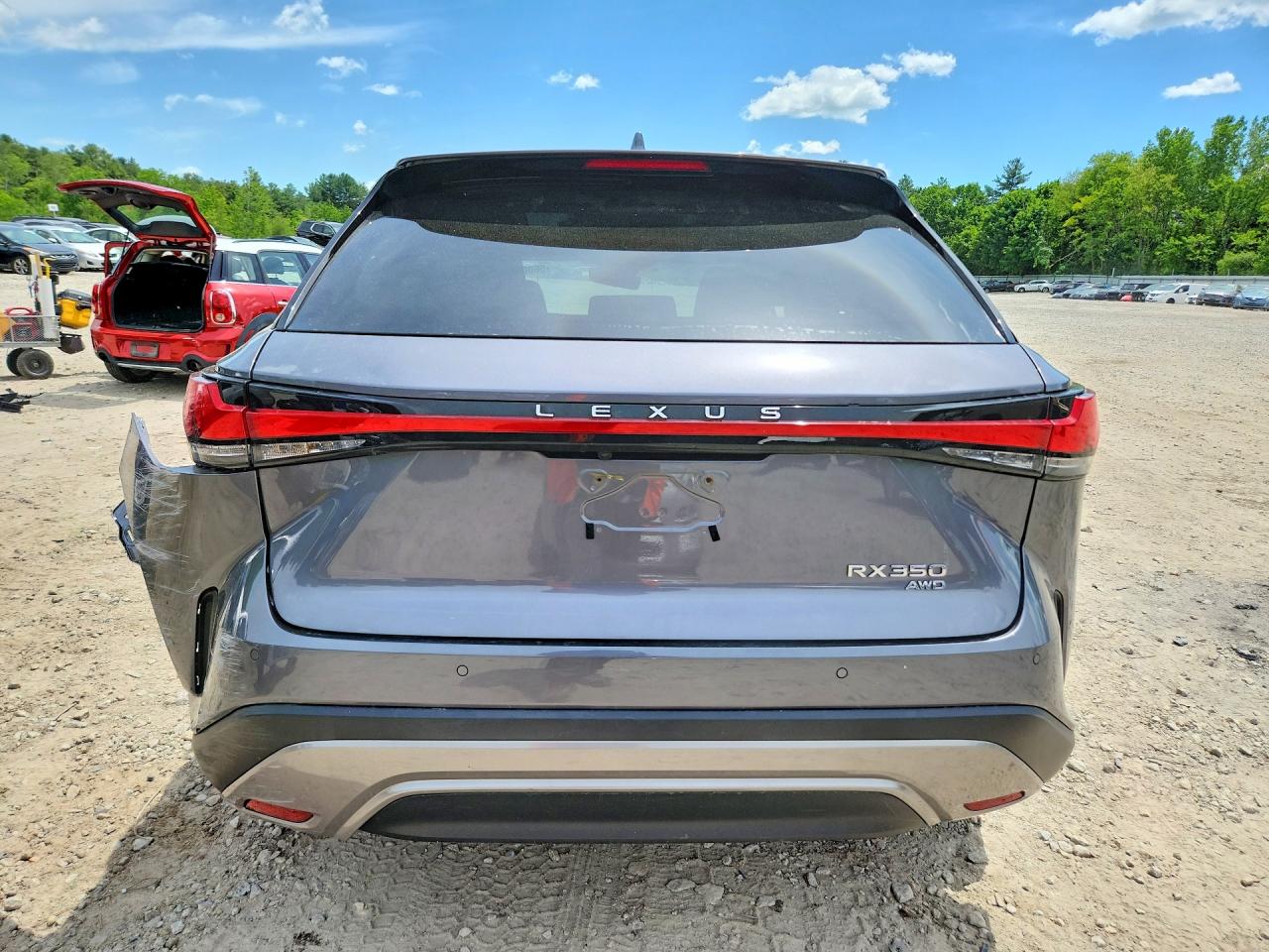 Lexus RX Luxury