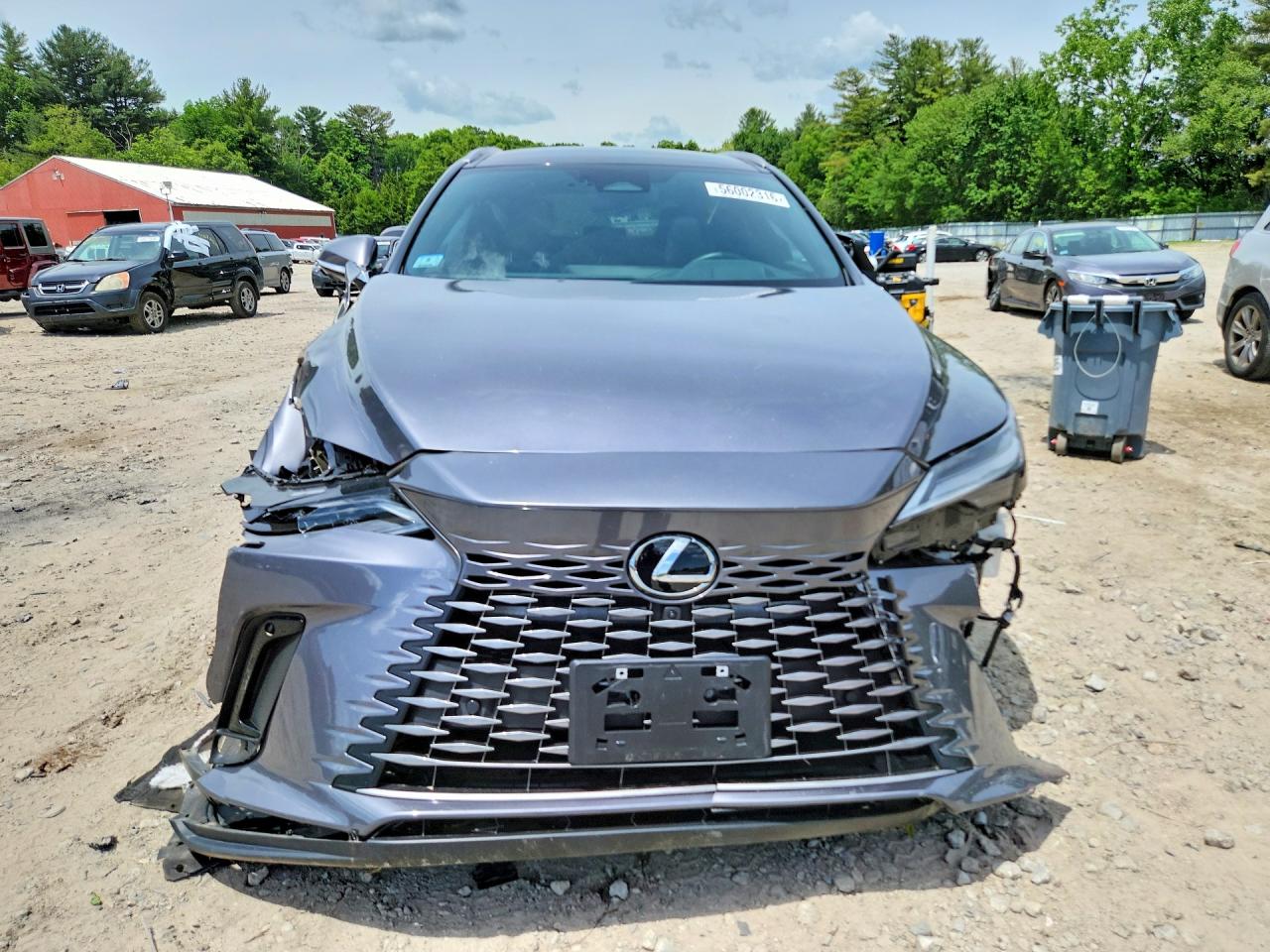 Lexus RX Luxury