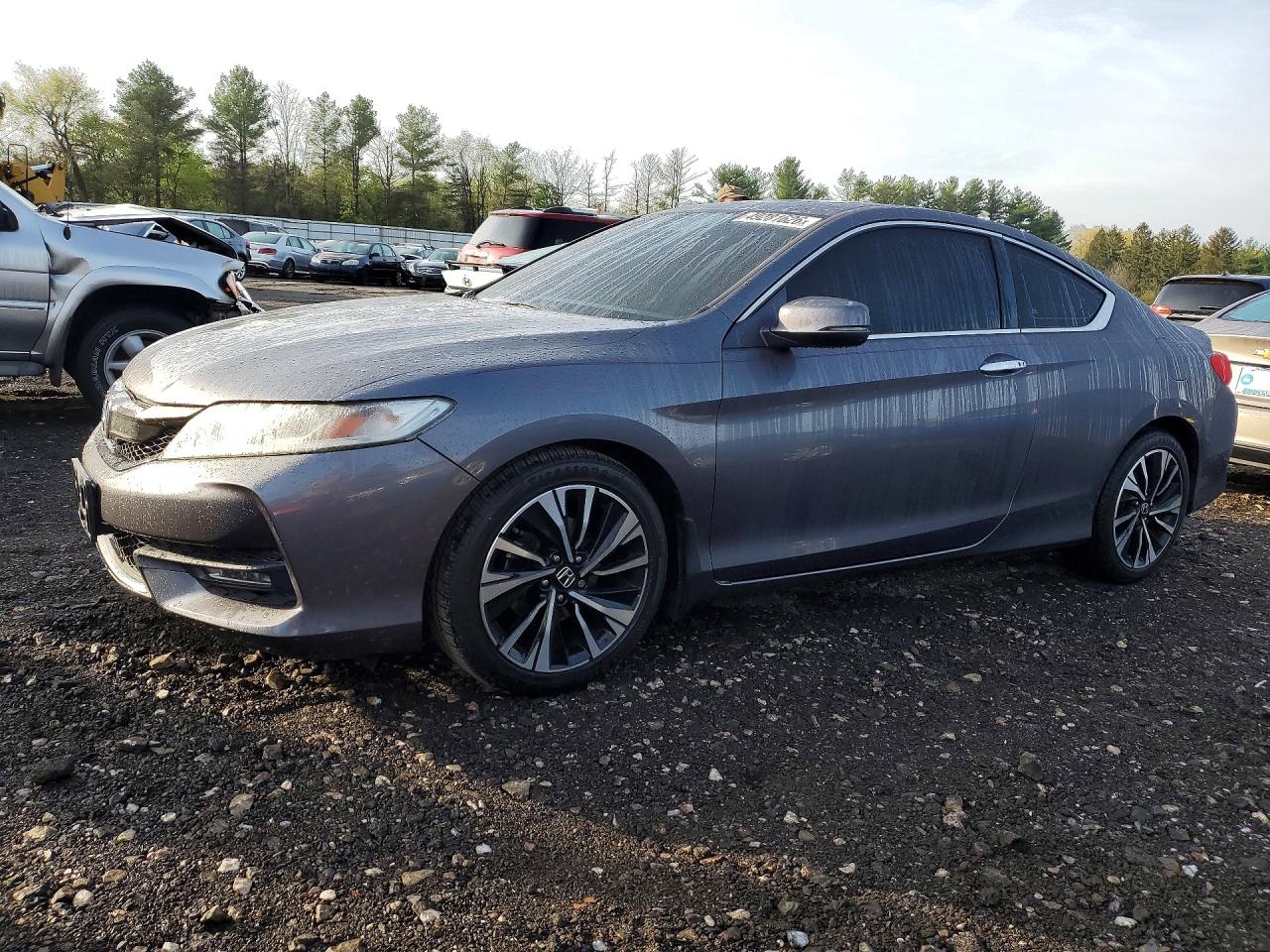 Salvage Honda Accord Image