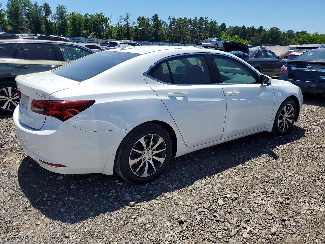 Acura TLX Tech
