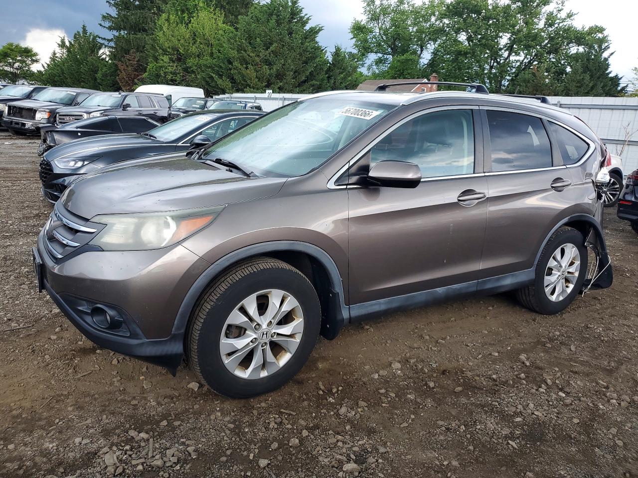 Salvage Honda Crv Image