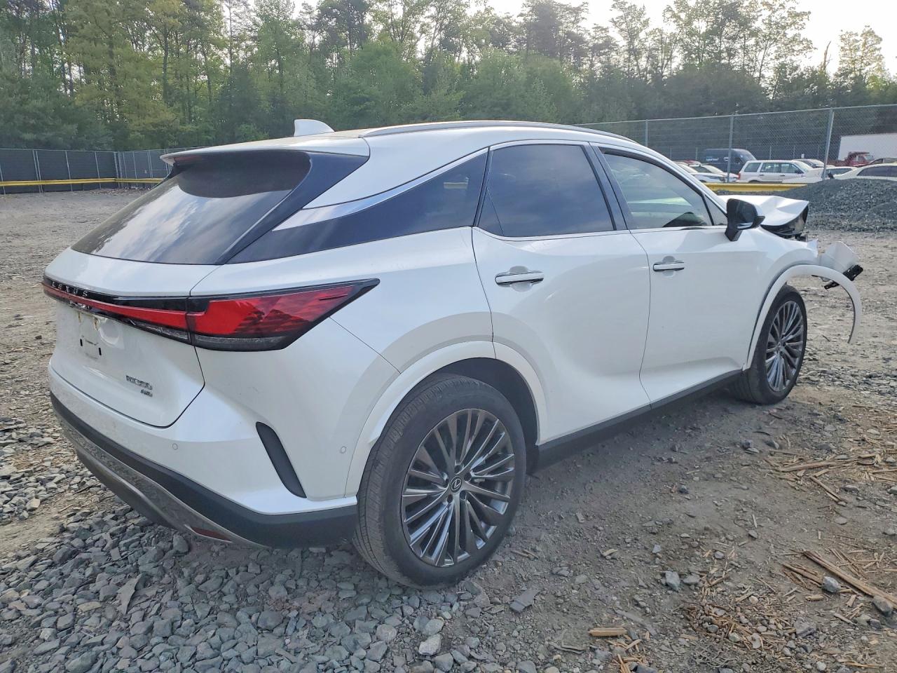 Lexus RX Luxury