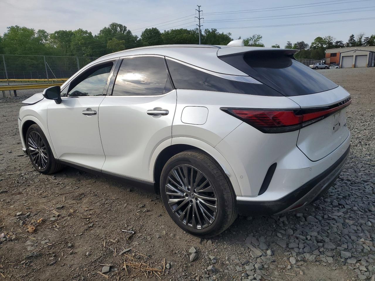 Lexus RX Luxury