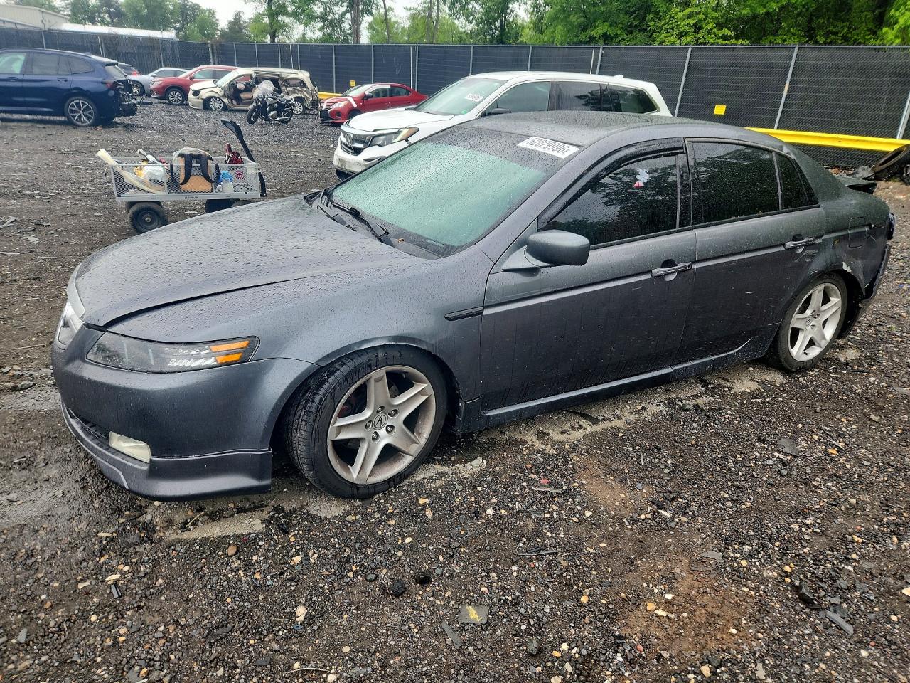 Salvage Acura TL Image