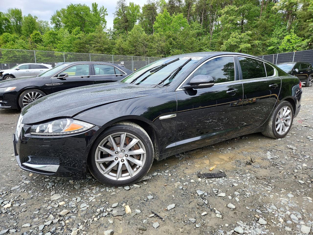 Salvage Jaguar XF Image