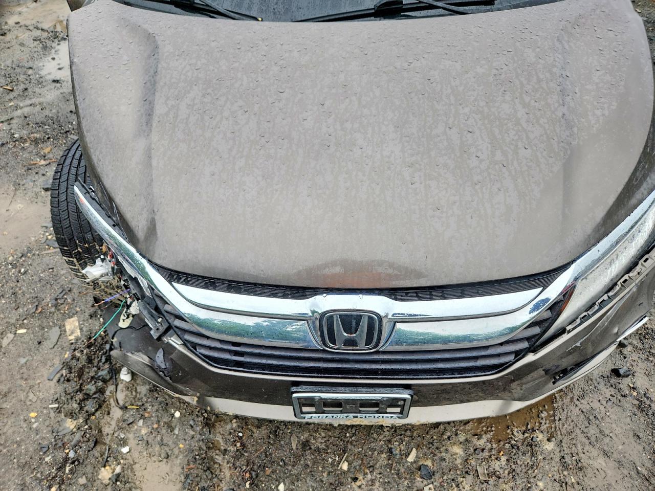 Honda Odyssey Elite