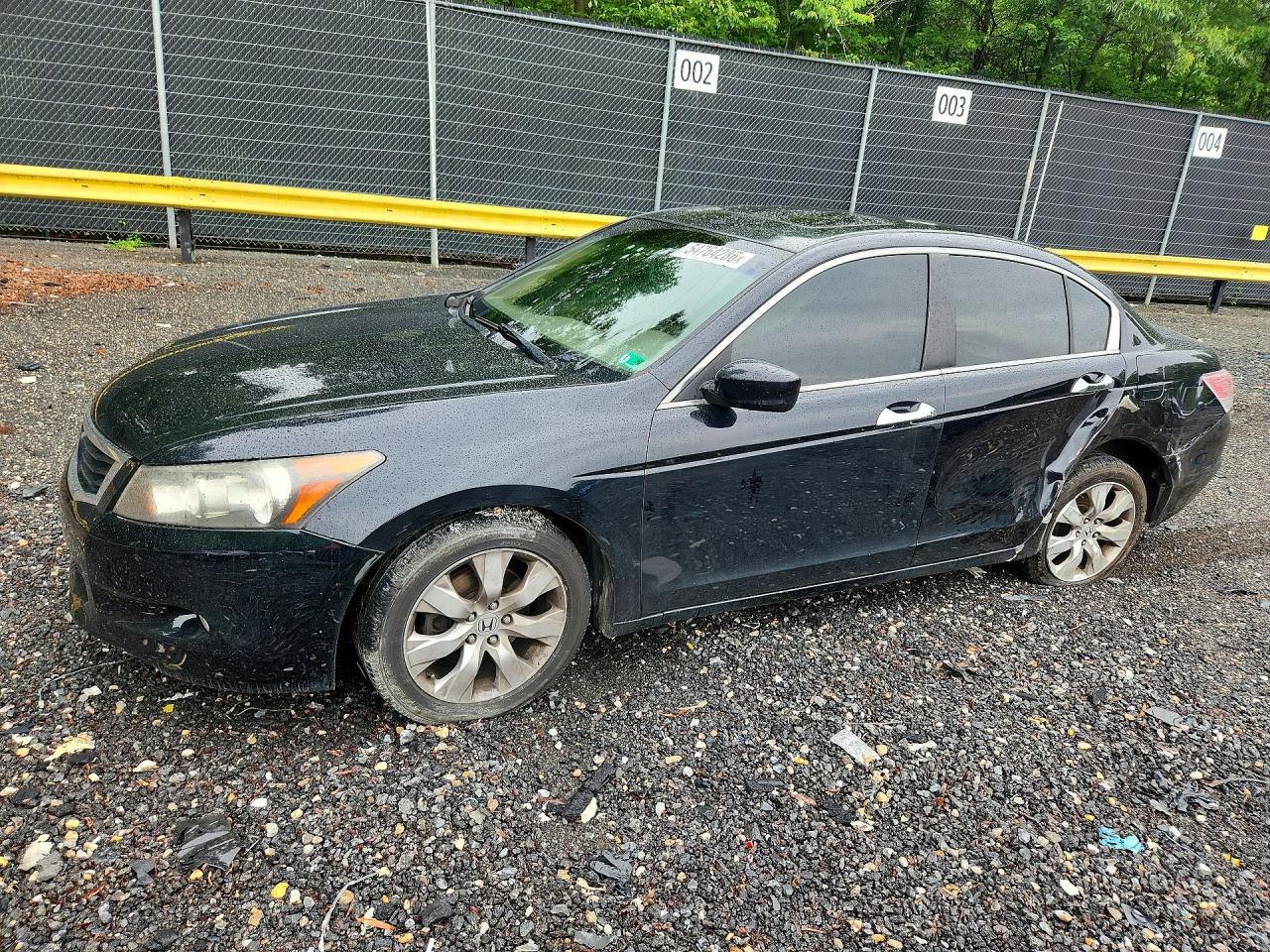 Salvage Honda Accord Image