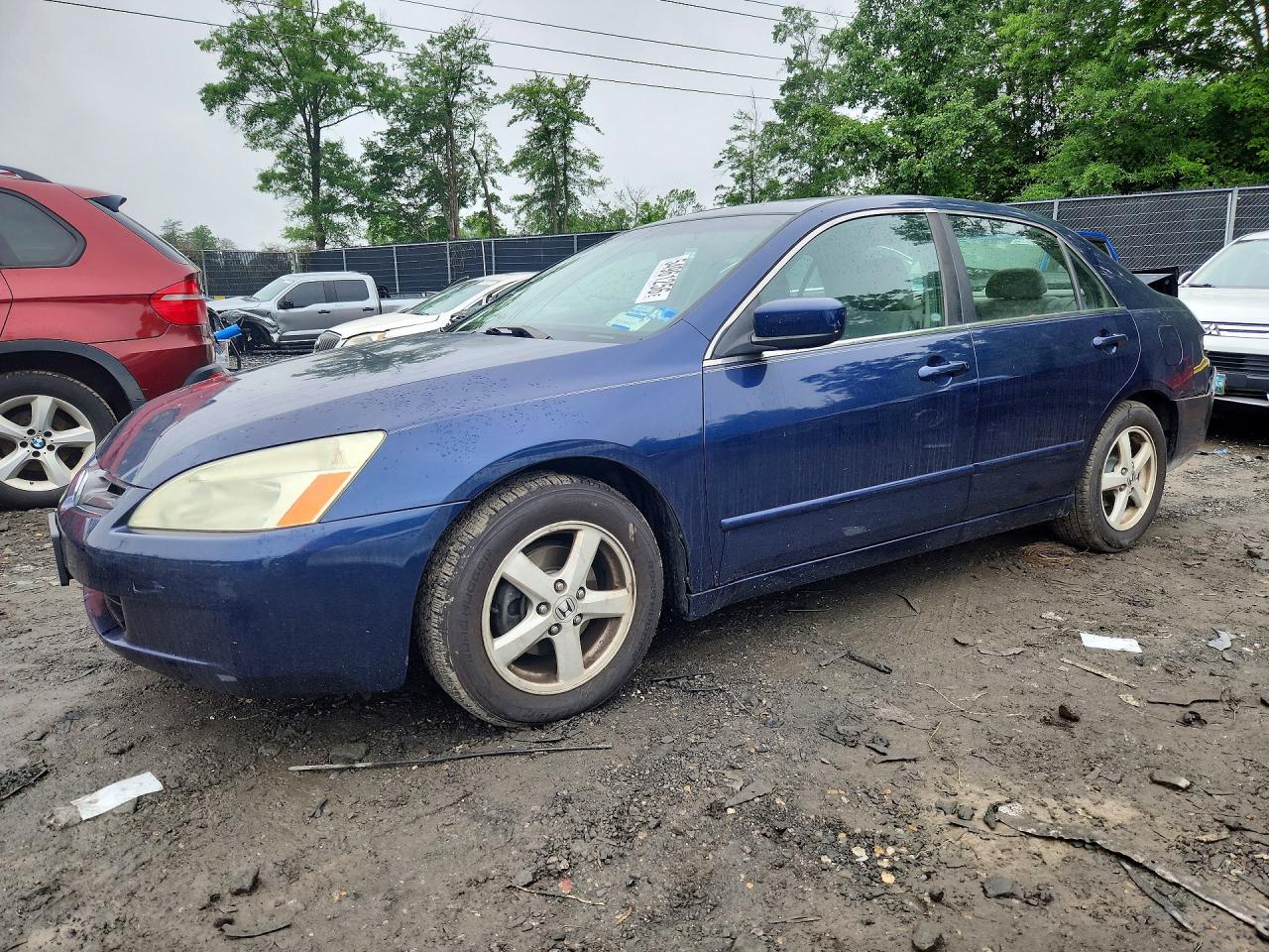 Salvage Honda Accord Image