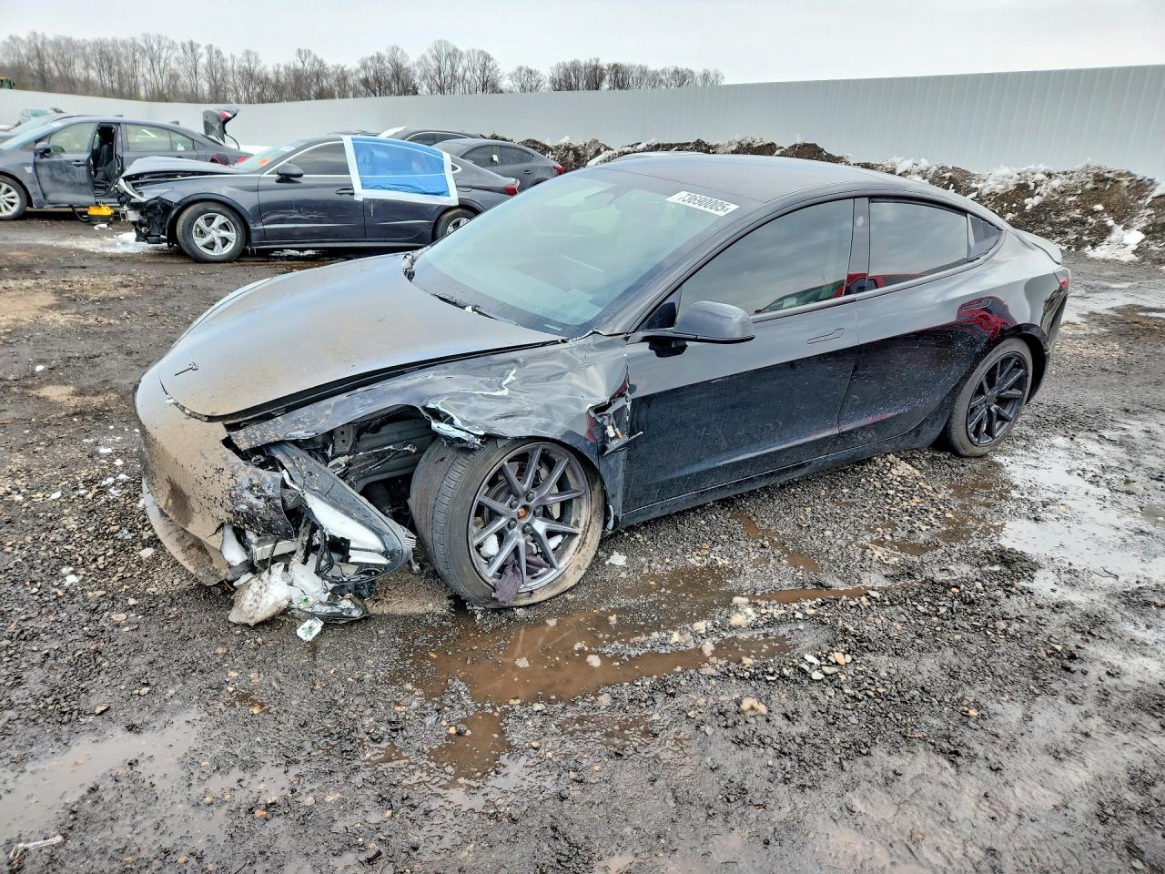 Salvage Tesla Model 3 Image