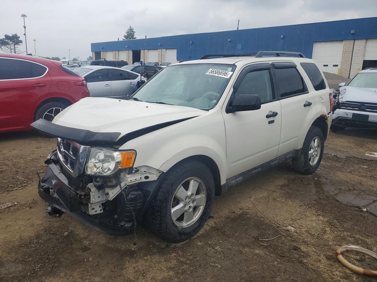 Salvage Ford Escape Image