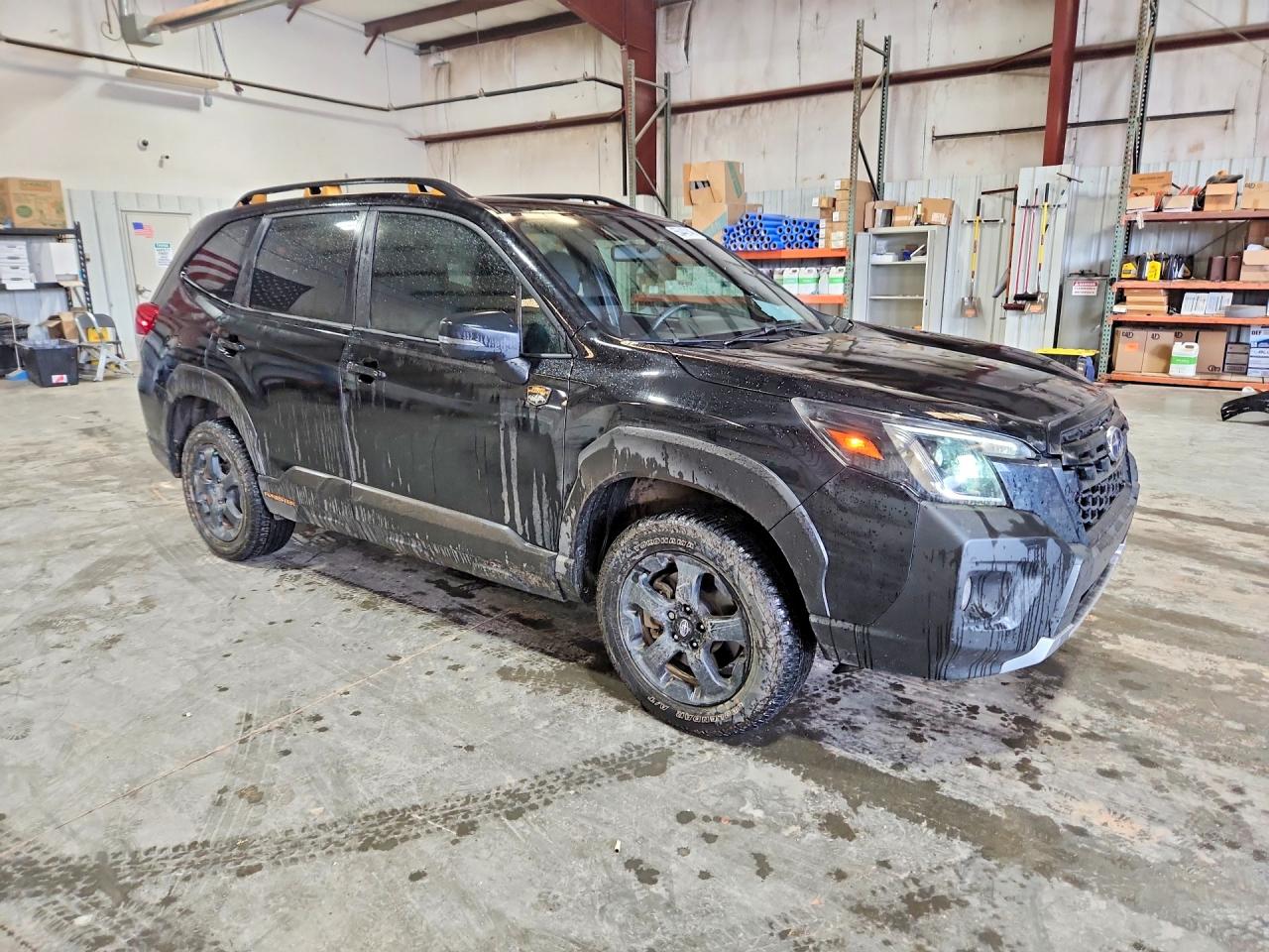 Subaru Forester Wilderness