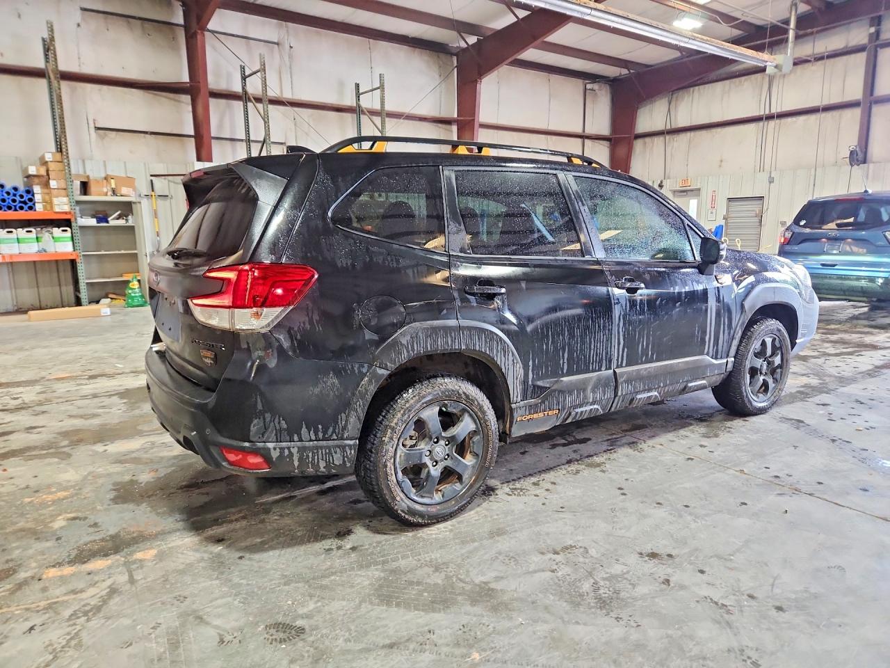 Subaru Forester Wilderness