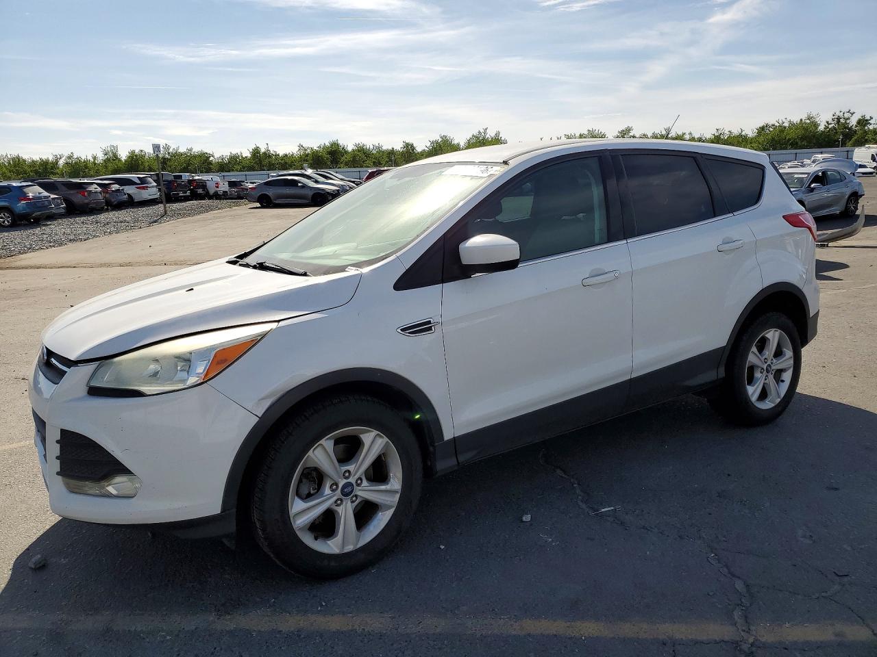 Salvage Ford Escape Image
