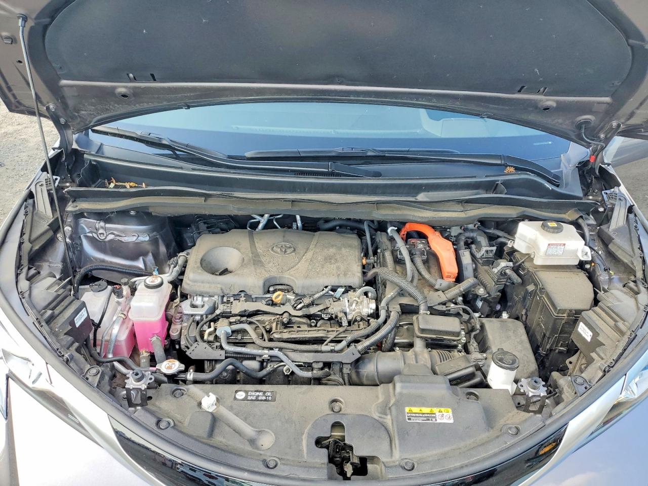 Toyota Sienna Platinum 7-passenger