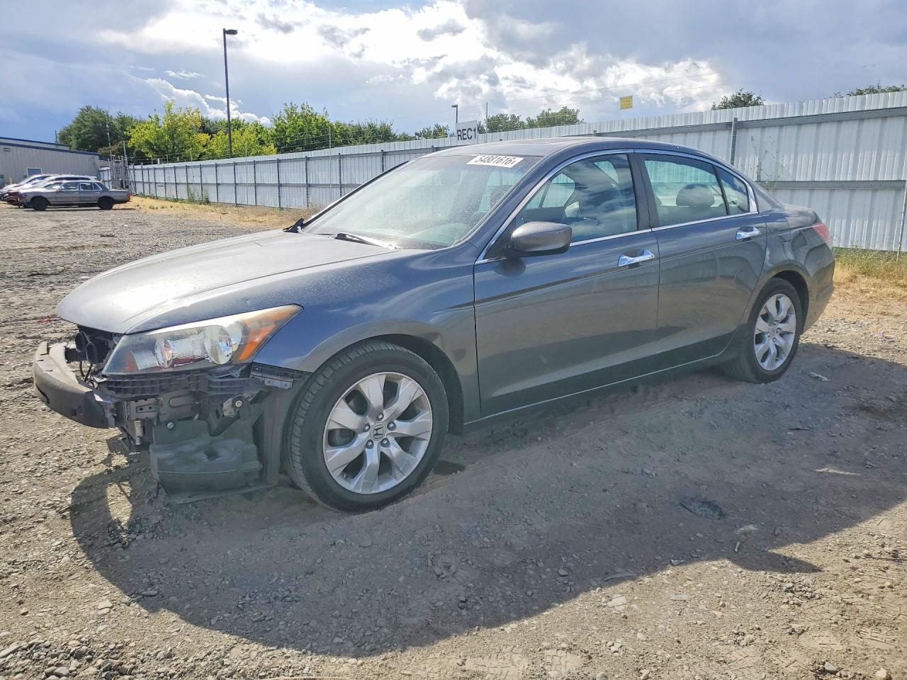 Salvage Honda Accord Image