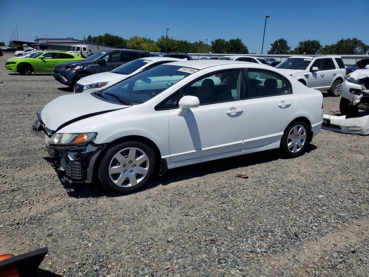 Salvage Honda Civic Image