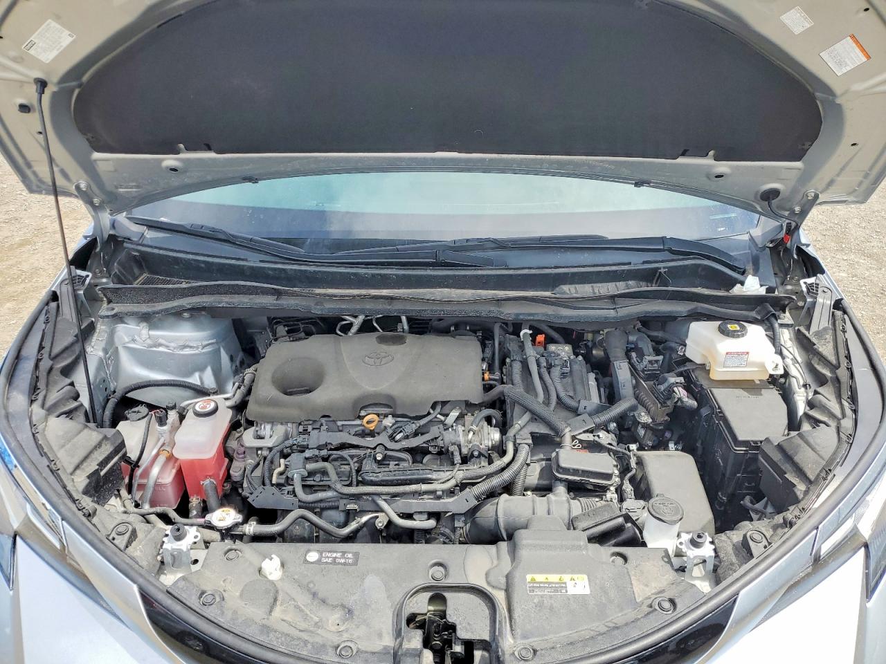 Toyota Sienna Xle