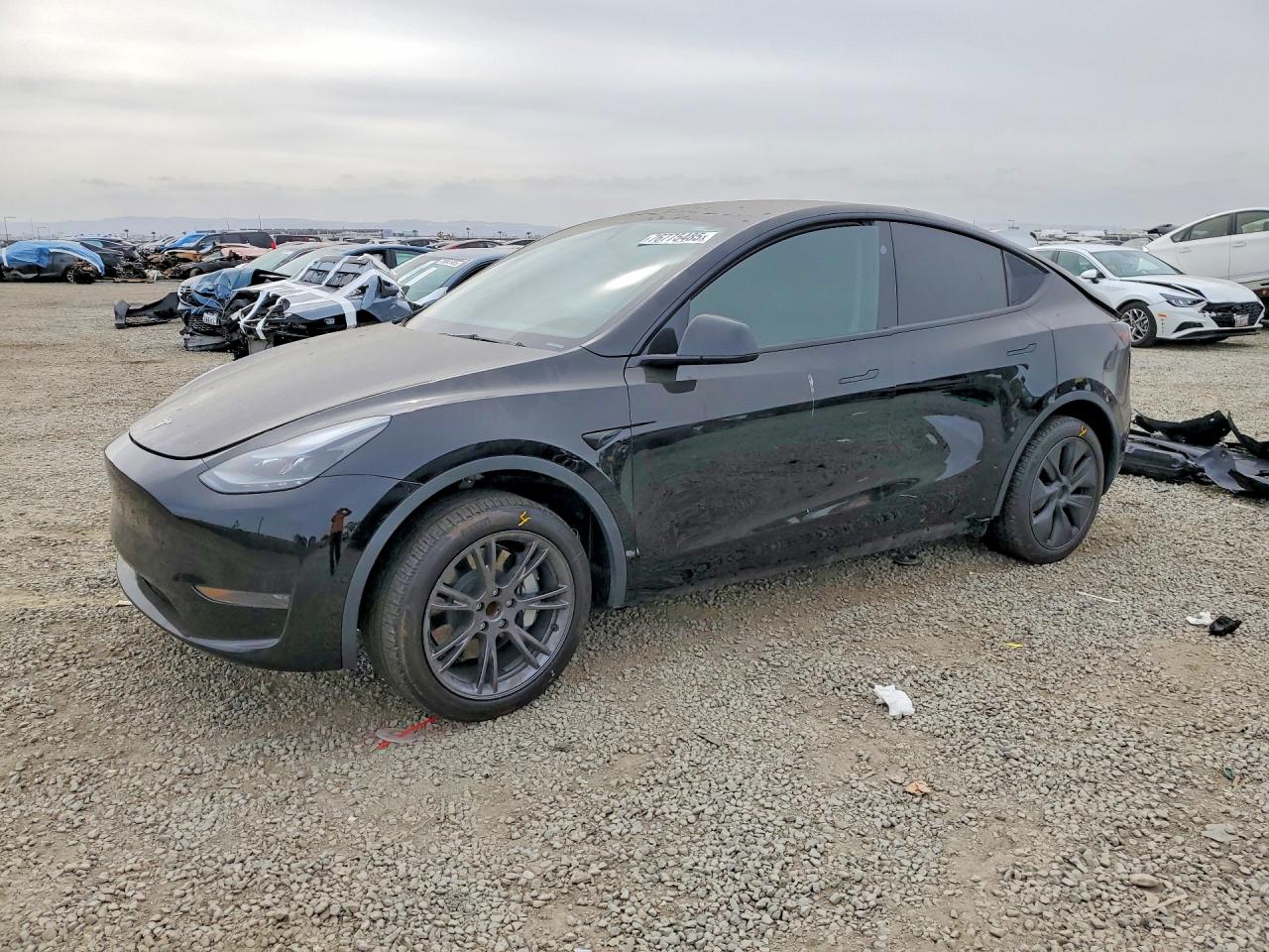 2024 Tesla Model Y 7SAYGDED7RF******