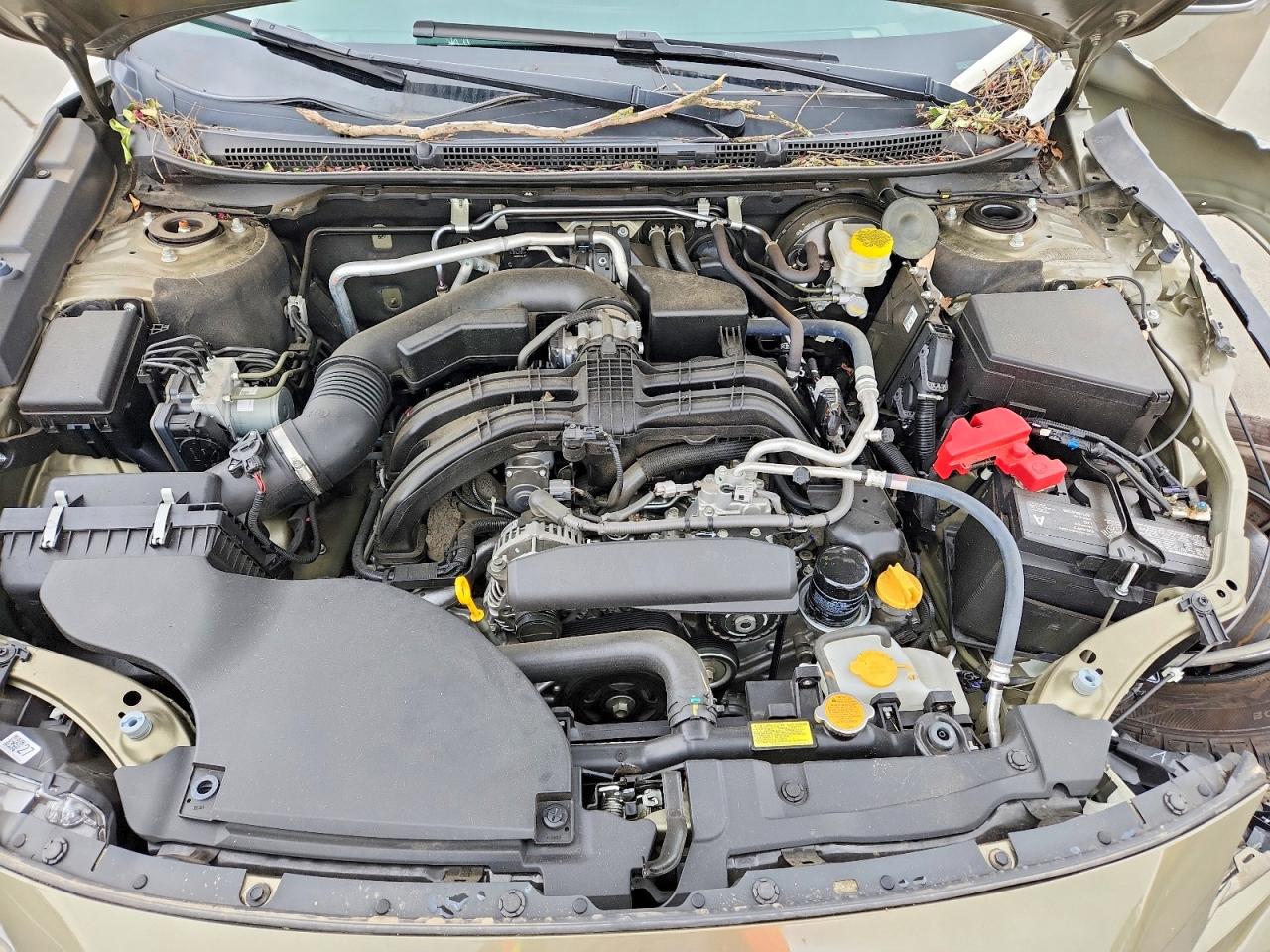 Subaru Outback Premium