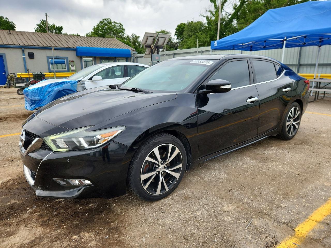 Salvage Nissan Maxima Image