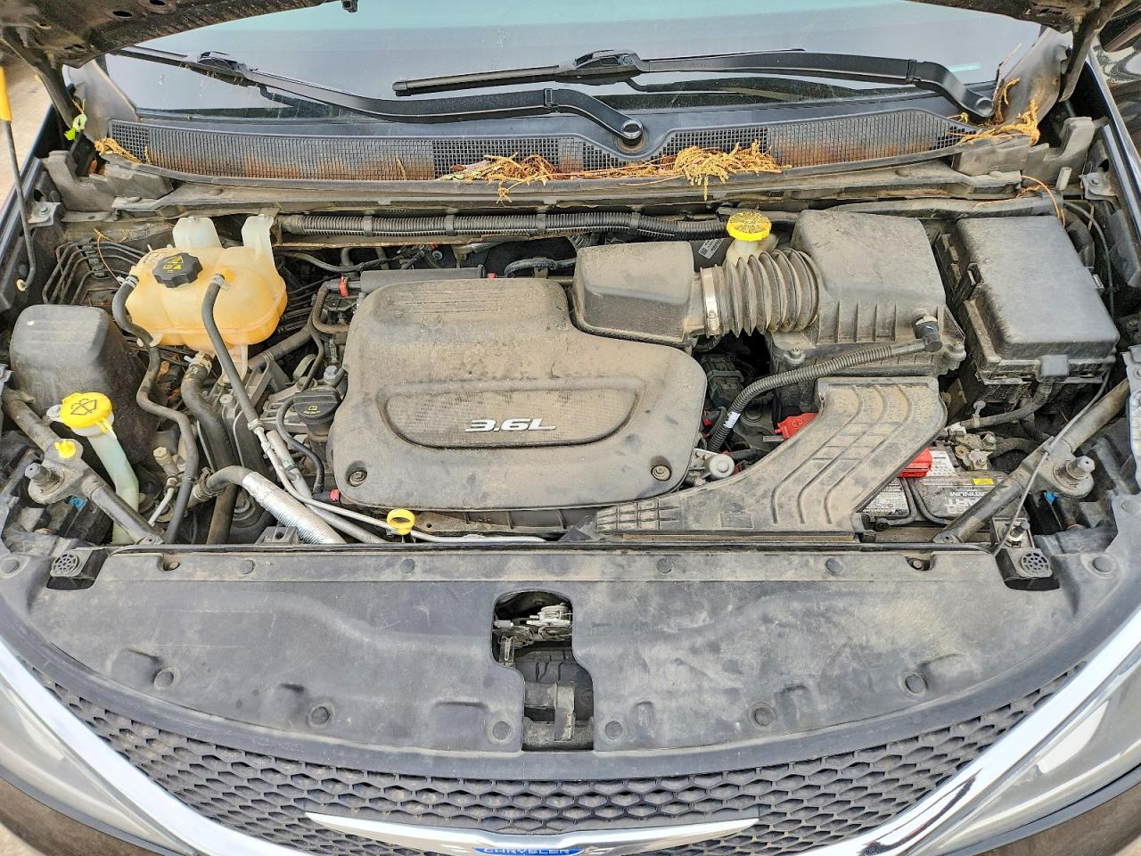 Chrysler Pacifica Touring L Plus