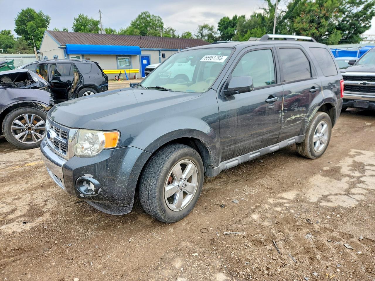 Salvage Ford Escape Image