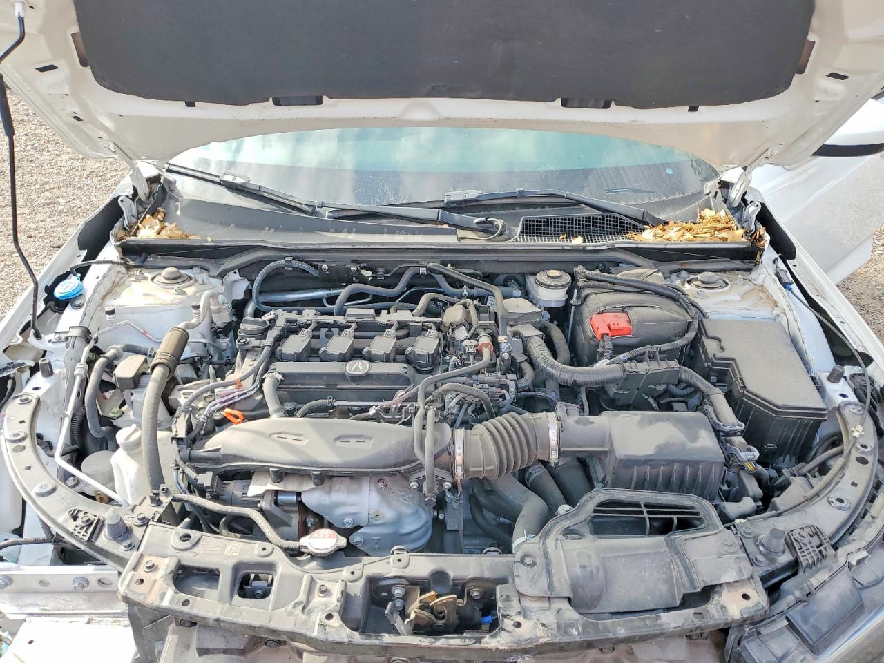 Acura Integra A A-spec