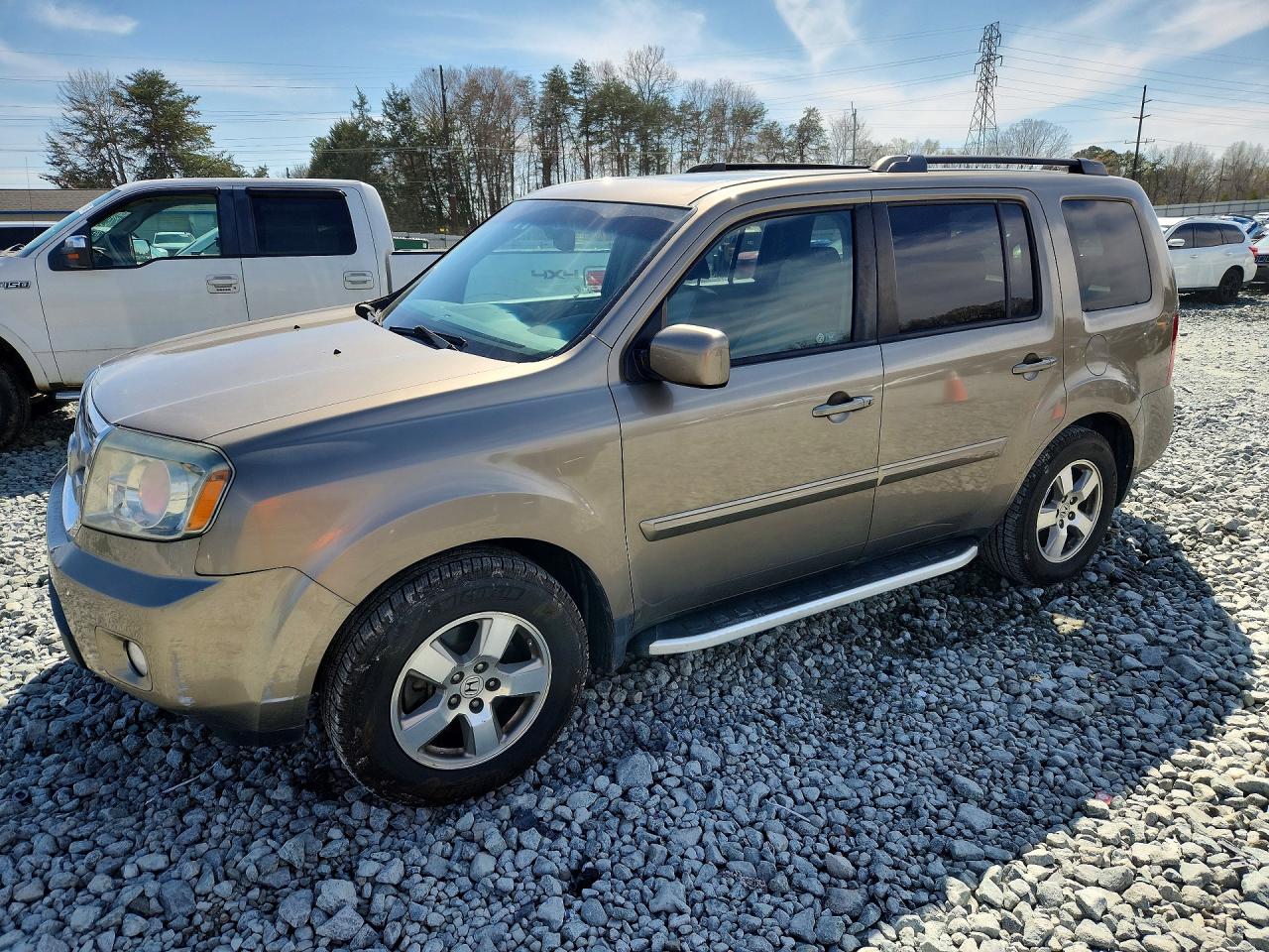 Salvage Honda Pilot Image