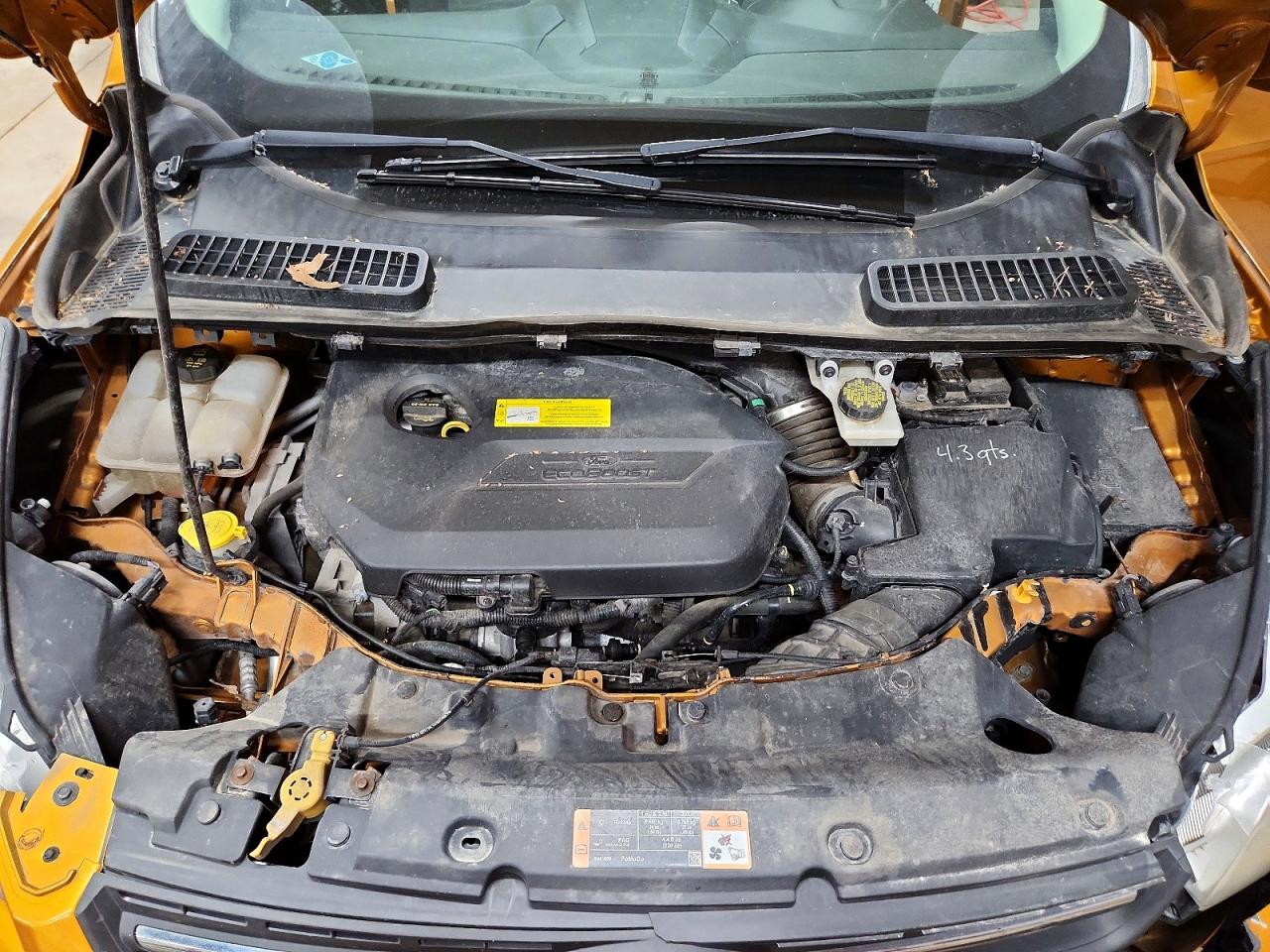 Ford Escape Se
