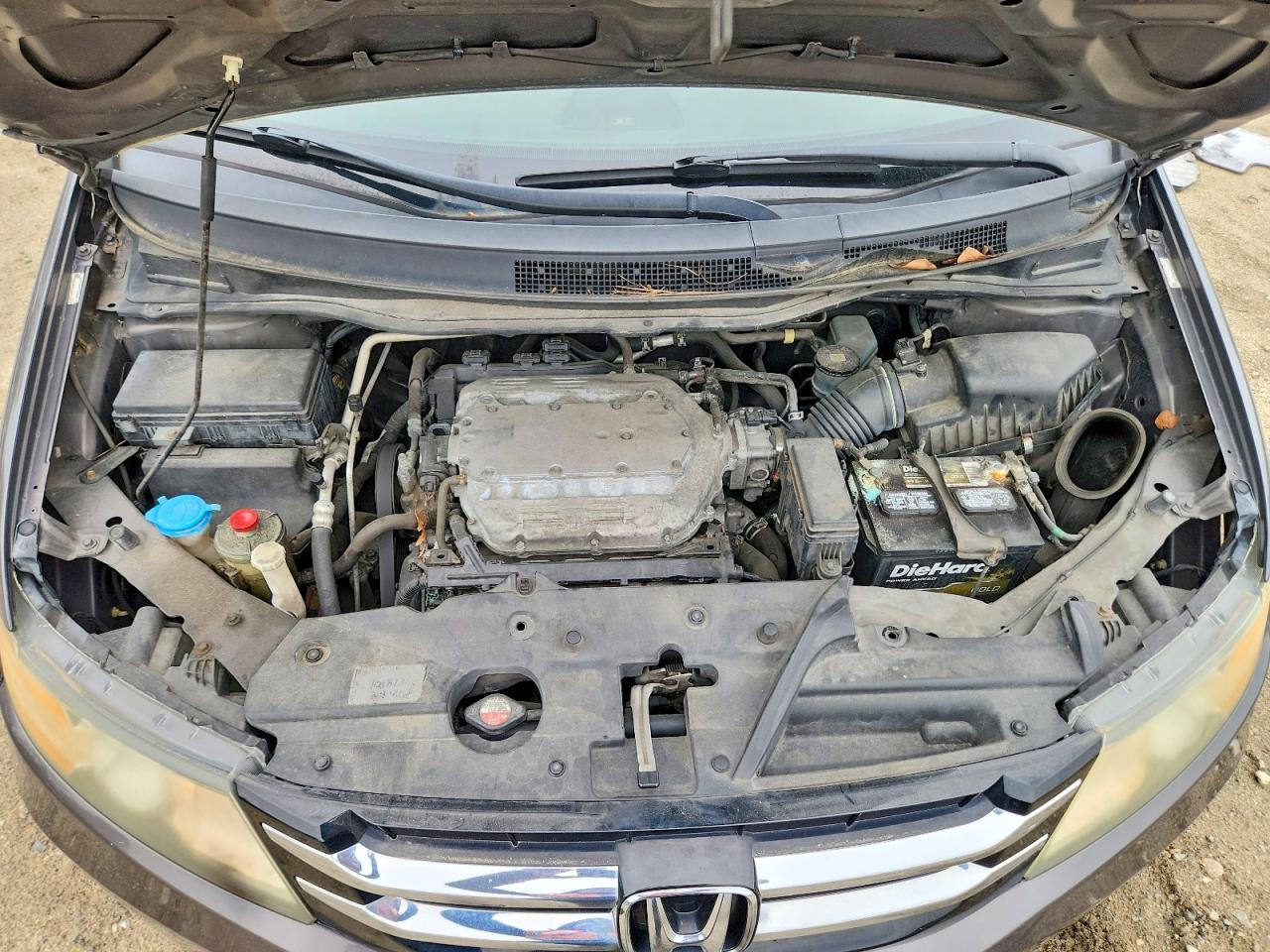 Honda Odyssey Exl