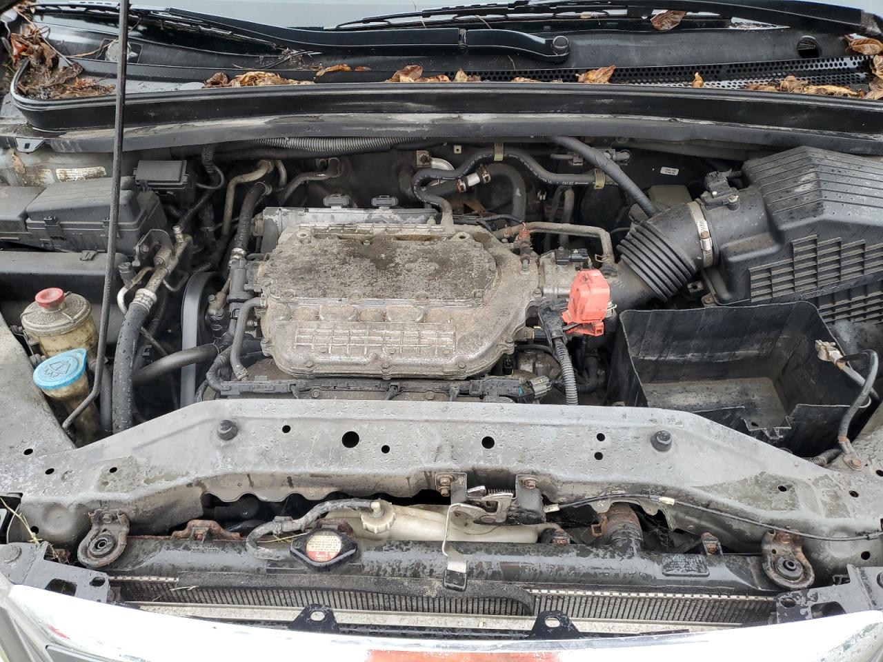 Honda Odyssey Exl