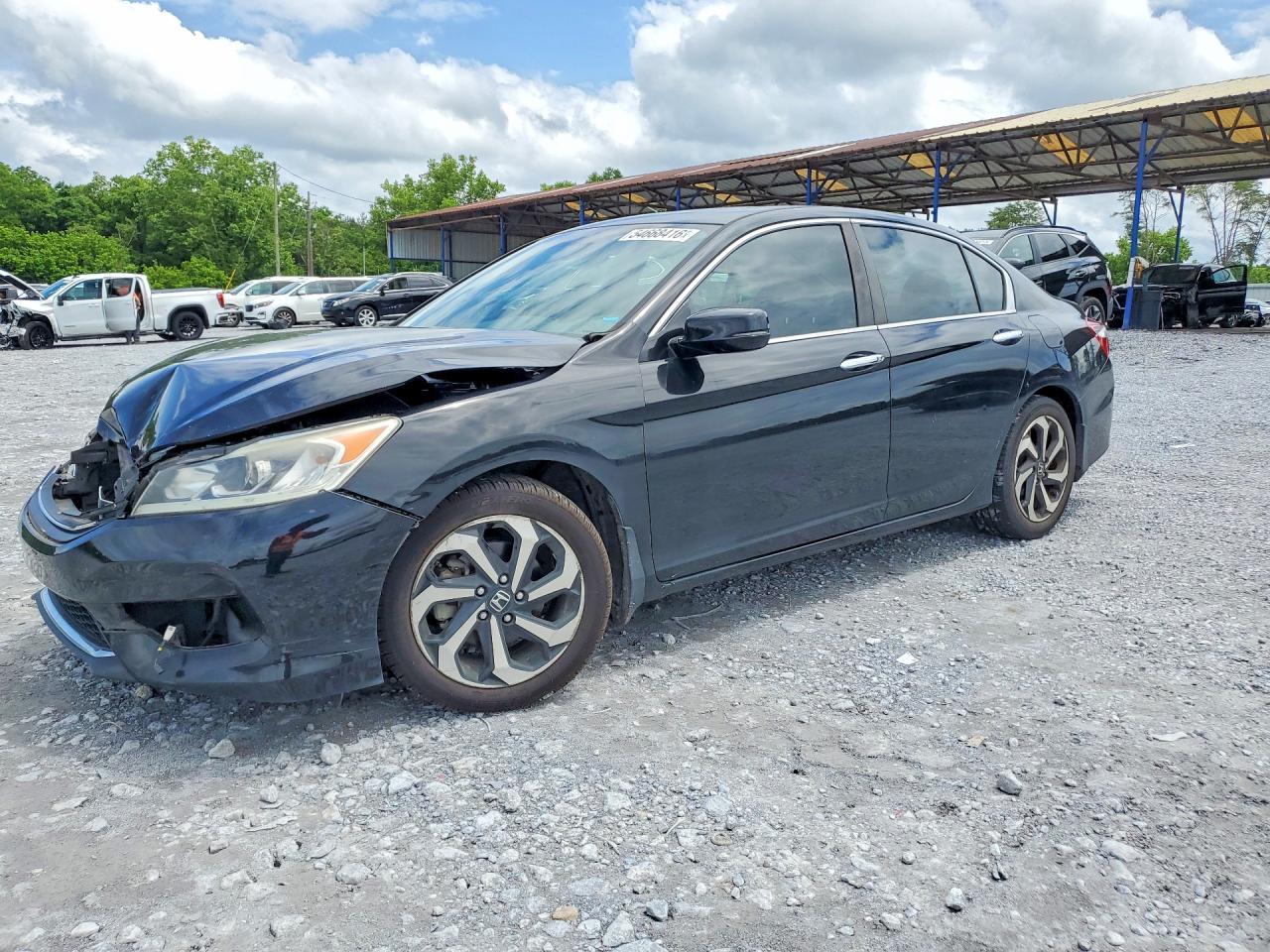 Salvage Honda Accord Image