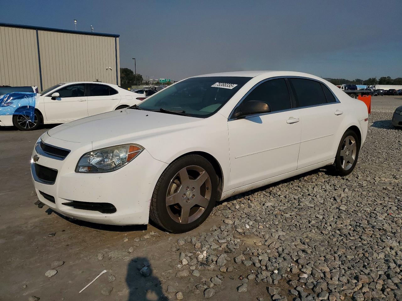 Salvage Chevrolet Malibu Image