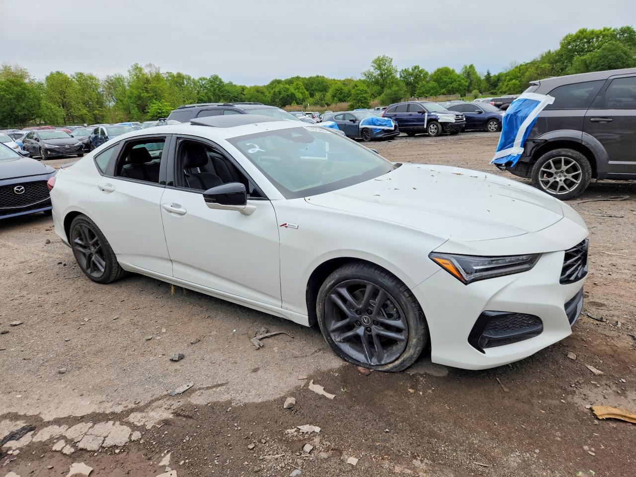 Acura TLX