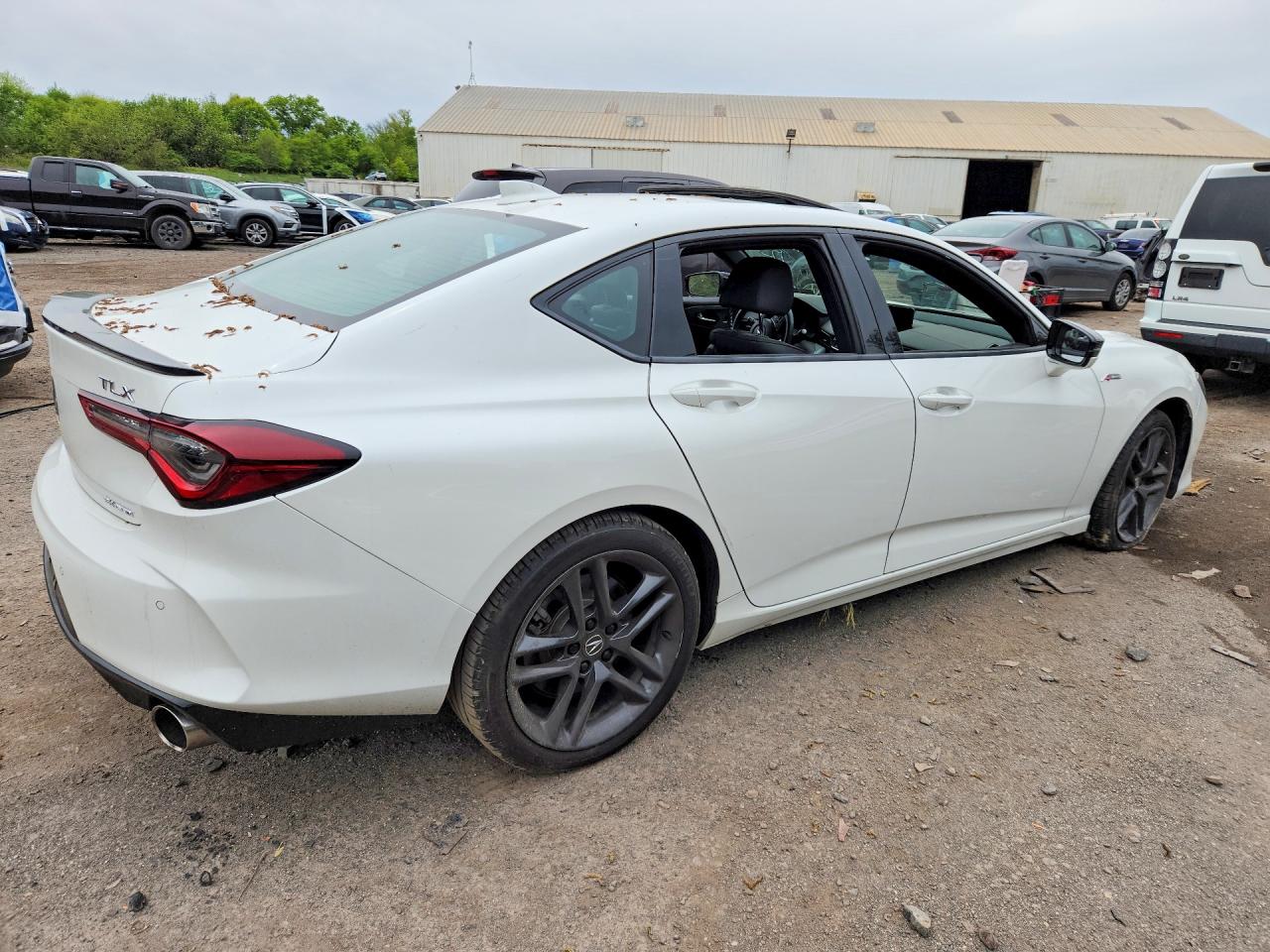 Acura TLX