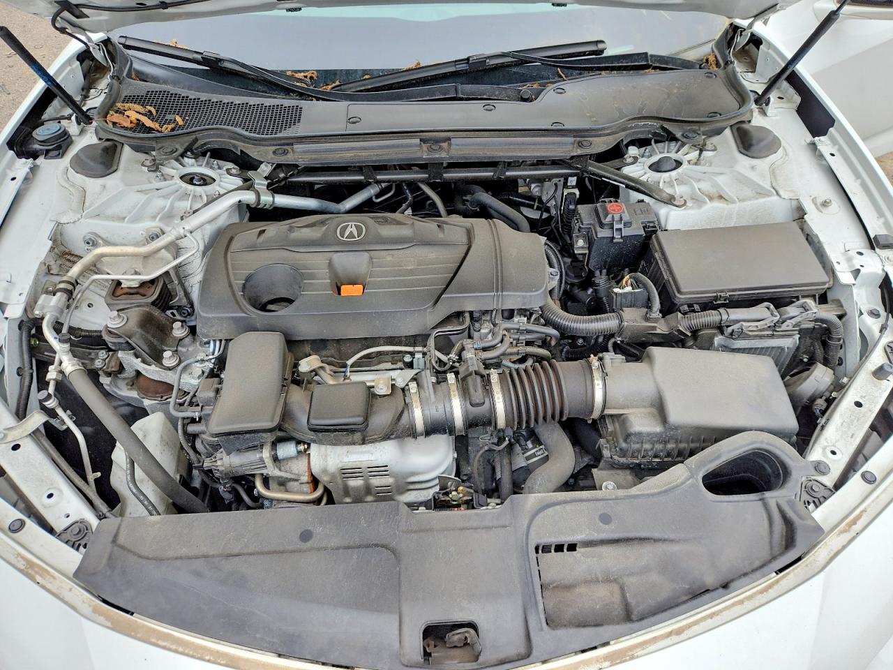 Acura TLX